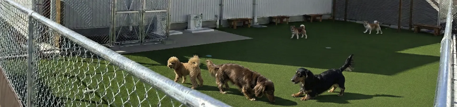 お買い物とあわせて、愛犬ものびのび過ごせる、無料のドッグラン