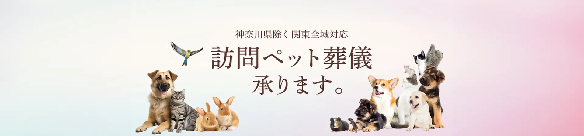 訪問ペット葬儀承ります。